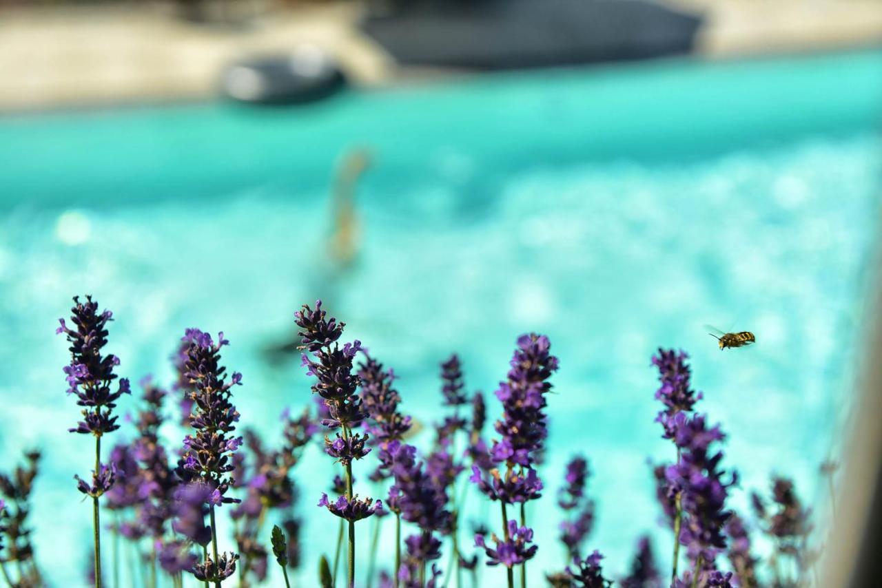 سكين Residence Boutique Sonne المظهر الخارجي الصورة